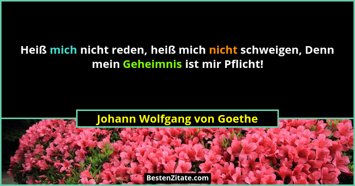 Heiß mich nicht reden, heiß mich nicht schweigen, Denn mein Geheimnis ist mir Pflicht!... - Johann Wolfgang von Goethe