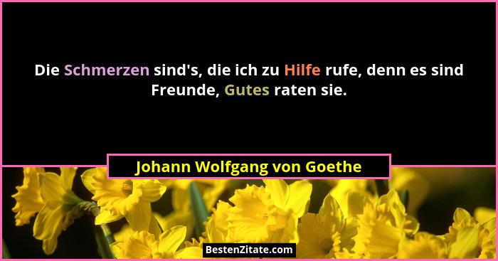 Die Schmerzen sind's, die ich zu Hilfe rufe, denn es sind Freunde, Gutes raten sie.... - Johann Wolfgang von Goethe