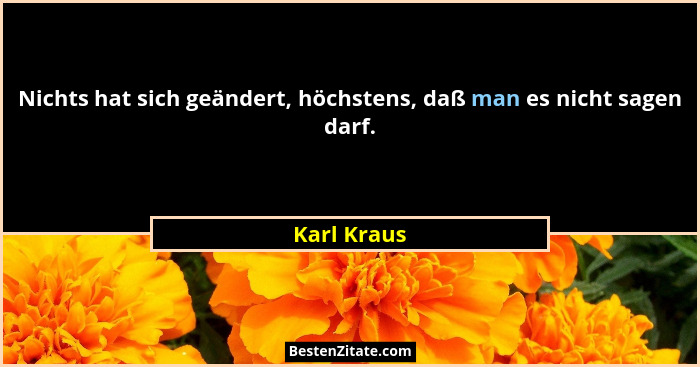 Nichts hat sich geändert, höchstens, daß man es nicht sagen darf.... - Karl Kraus