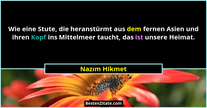 Wie eine Stute, die heranstürmt aus dem fernen Asien und ihren Kopf ins Mittelmeer taucht, das ist unsere Heimat.... - Nazım Hikmet