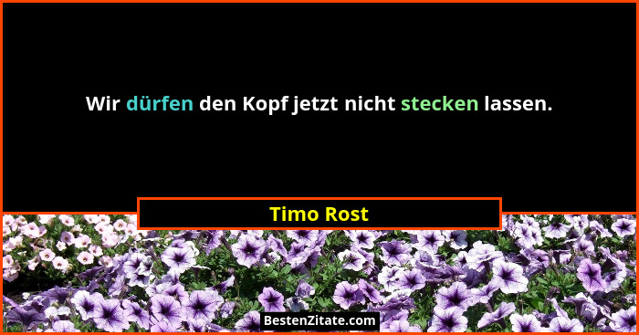 Wir dürfen den Kopf jetzt nicht stecken lassen.... - Timo Rost