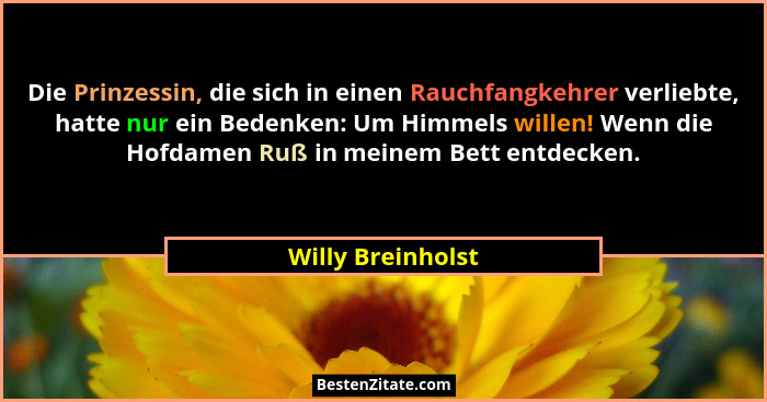 Die Prinzessin, die sich in einen Rauchfangkehrer verliebte, hatte nur ein Bedenken: Um Himmels willen! Wenn die Hofdamen Ruß in me... - Willy Breinholst