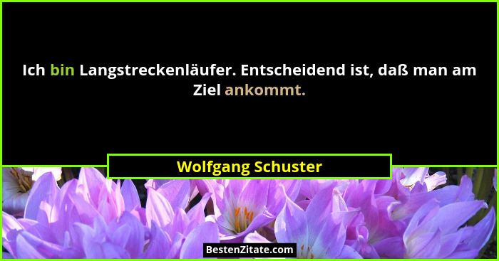 Ich bin Langstreckenläufer. Entscheidend ist, daß man am Ziel ankommt.... - Wolfgang Schuster