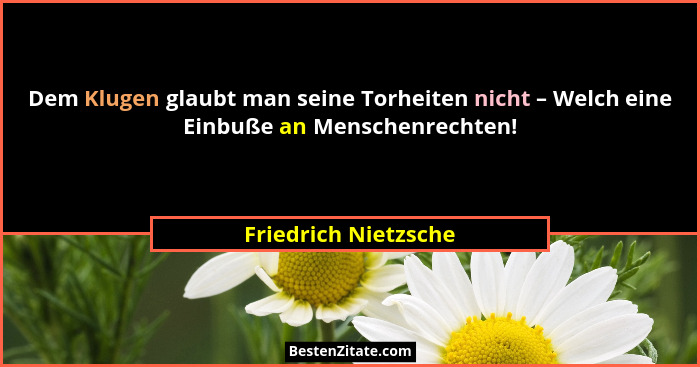 Dem Klugen glaubt man seine Torheiten nicht – Welch eine Einbuße an Menschenrechten!... - Friedrich Nietzsche