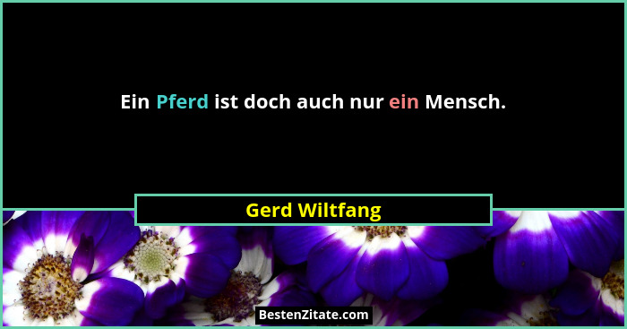 Ein Pferd ist doch auch nur ein Mensch.... - Gerd Wiltfang