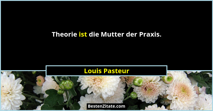 Theorie ist die Mutter der Praxis.... - Louis Pasteur