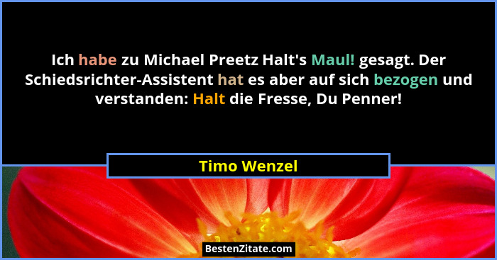 Ich habe zu Michael Preetz Halt's Maul! gesagt. Der Schiedsrichter-Assistent hat es aber auf sich bezogen und verstanden: Halt die F... - Timo Wenzel
