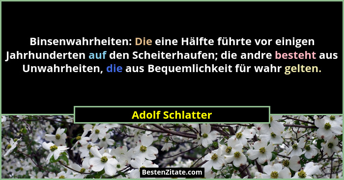 Binsenwahrheiten: Die eine Hälfte führte vor einigen Jahrhunderten auf den Scheiterhaufen; die andre besteht aus Unwahrheiten, die a... - Adolf Schlatter