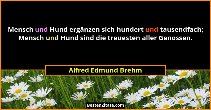 Mensch und Hund ergänzen sich hundert und tausendfach; Mensch und Hund sind die treuesten aller Genossen.... - Alfred Edmund Brehm