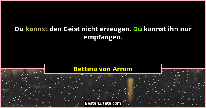 Du kannst den Geist nicht erzeugen. Du kannst ihn nur empfangen.... - Bettina von Arnim