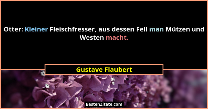 Otter: Kleiner Fleischfresser, aus dessen Fell man Mützen und Westen macht.... - Gustave Flaubert