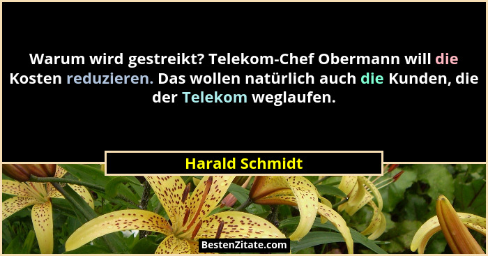Warum wird gestreikt? Telekom-Chef Obermann will die Kosten reduzieren. Das wollen natürlich auch die Kunden, die der Telekom weglauf... - Harald Schmidt