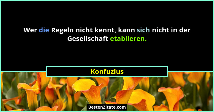 Wer die Regeln nicht kennt, kann sich nicht in der Gesellschaft etablieren.... - Konfuzius