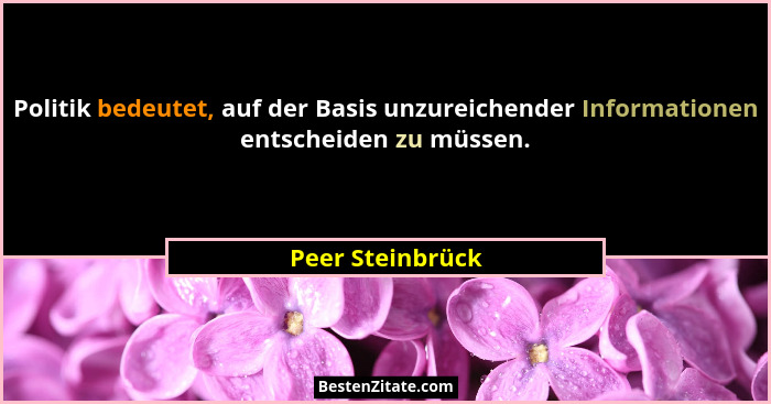 Politik bedeutet, auf der Basis unzureichender Informationen entscheiden zu müssen.... - Peer Steinbrück
