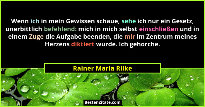 Wenn ich in mein Gewissen schaue, sehe ich nur ein Gesetz, unerbittlich befehlend: mich in mich selbst einschließen und in einem... - Rainer Maria Rilke