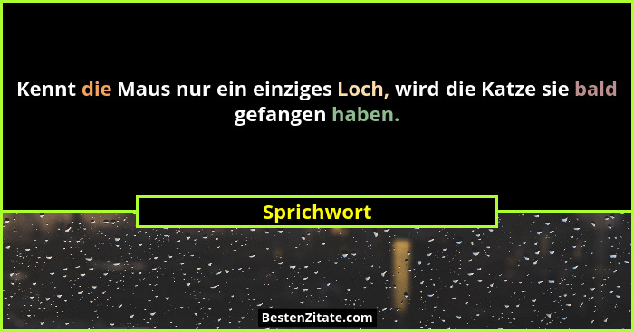 Kennt die Maus nur ein einziges Loch, wird die Katze sie bald gefangen haben.... - Sprichwort