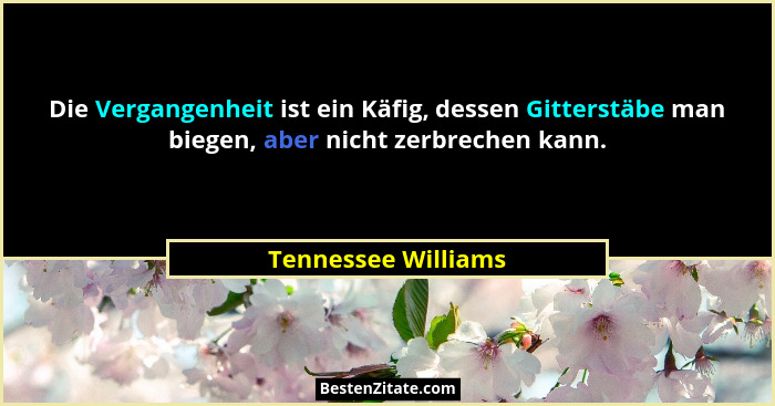 Die Vergangenheit ist ein Käfig, dessen Gitterstäbe man biegen, aber nicht zerbrechen kann.... - Tennessee Williams