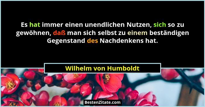Es hat immer einen unendlichen Nutzen, sich so zu gewöhnen, daß man sich selbst zu einem beständigen Gegenstand des Nachdenkens... - Wilhelm von Humboldt