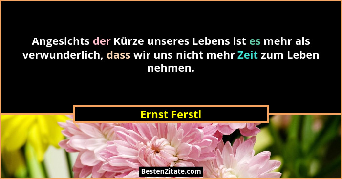 Angesichts der Kürze unseres Lebens ist es mehr als verwunderlich, dass wir uns nicht mehr Zeit zum Leben nehmen.... - Ernst Ferstl