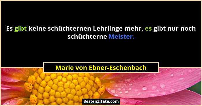 Es gibt keine schüchternen Lehrlinge mehr, es gibt nur noch schüchterne Meister.... - Marie von Ebner-Eschenbach