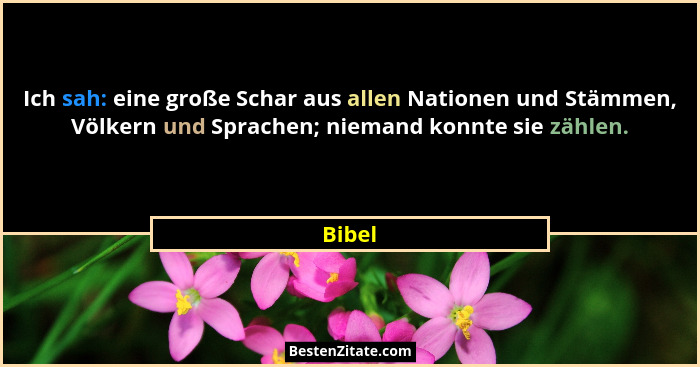 Ich sah: eine große Schar aus allen Nationen und Stämmen, Völkern und Sprachen; niemand konnte sie zählen.... - Bibel