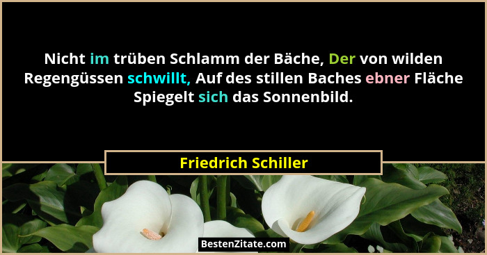Nicht im trüben Schlamm der Bäche, Der von wilden Regengüssen schwillt, Auf des stillen Baches ebner Fläche Spiegelt sich das Son... - Friedrich Schiller