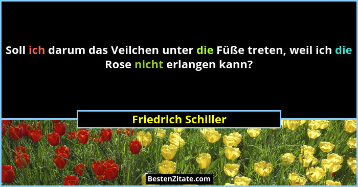 Soll ich darum das Veilchen unter die Füße treten, weil ich die Rose nicht erlangen kann?... - Friedrich Schiller