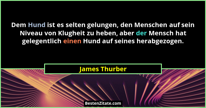 Dem Hund ist es selten gelungen, den Menschen auf sein Niveau von Klugheit zu heben, aber der Mensch hat gelegentlich einen Hund auf s... - James Thurber