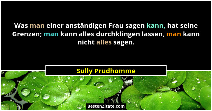 Was man einer anständigen Frau sagen kann, hat seine Grenzen; man kann alles durchklingen lassen, man kann nicht alles sagen.... - Sully Prudhomme