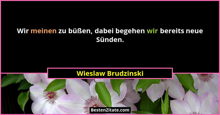 Wir meinen zu büßen, dabei begehen wir bereits neue Sünden.... - Wieslaw Brudzinski