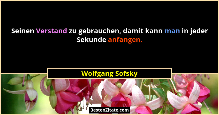 Seinen Verstand zu gebrauchen, damit kann man in jeder Sekunde anfangen.... - Wolfgang Sofsky