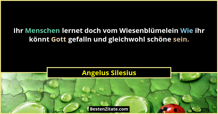 Ihr Menschen lernet doch vom Wiesenblümelein Wie ihr könnt Gott gefalln und gleichwohl schöne sein.... - Angelus Silesius