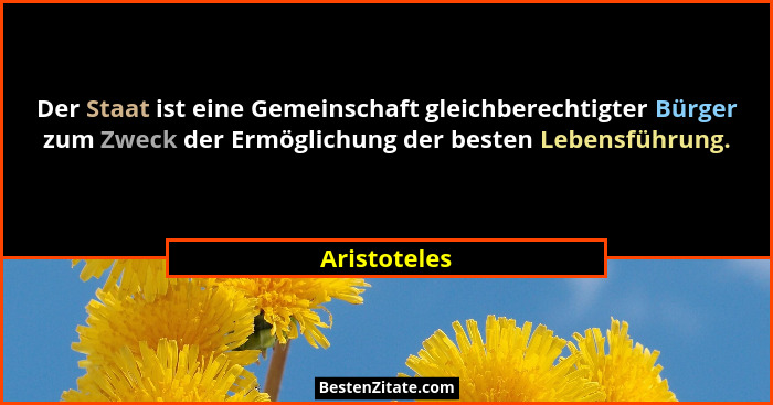 Der Staat ist eine Gemeinschaft gleichberechtigter Bürger zum Zweck der Ermöglichung der besten Lebensführung.... - Aristoteles