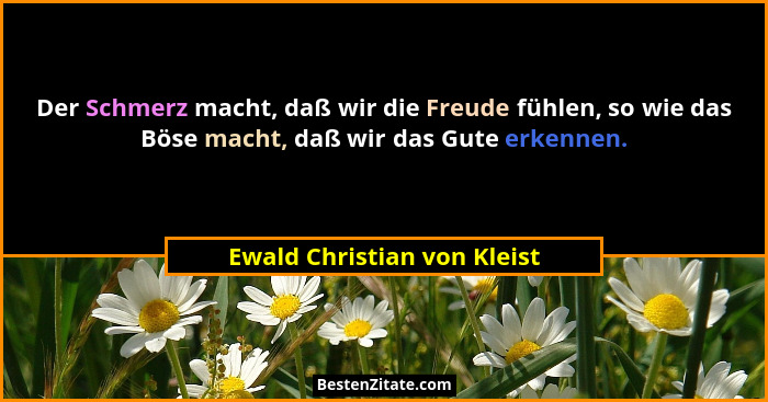 Der Schmerz macht, daß wir die Freude fühlen, so wie das Böse macht, daß wir das Gute erkennen.... - Ewald Christian von Kleist