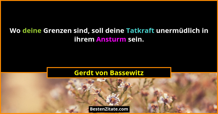 Wo deine Grenzen sind, soll deine Tatkraft unermüdlich in ihrem Ansturm sein.... - Gerdt von Bassewitz