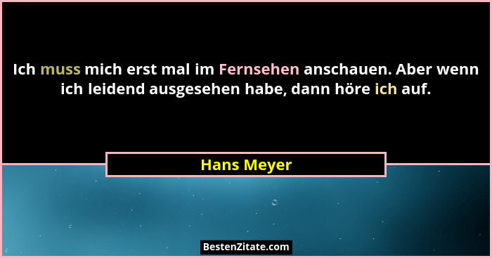 Ich muss mich erst mal im Fernsehen anschauen. Aber wenn ich leidend ausgesehen habe, dann höre ich auf.... - Hans Meyer