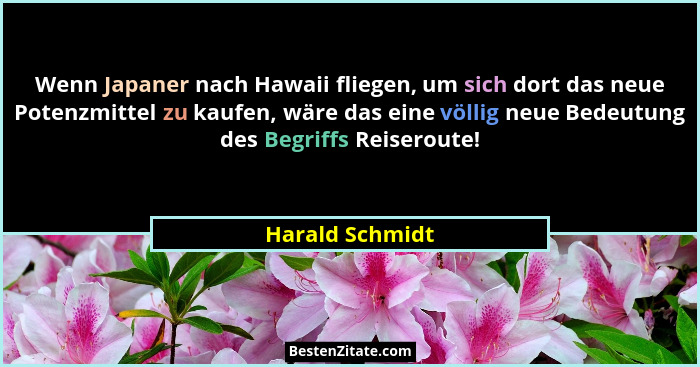 Wenn Japaner nach Hawaii fliegen, um sich dort das neue Potenzmittel zu kaufen, wäre das eine völlig neue Bedeutung des Begriffs Reis... - Harald Schmidt