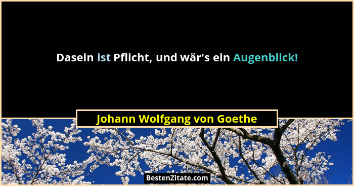 Dasein ist Pflicht, und wär's ein Augenblick!... - Johann Wolfgang von Goethe