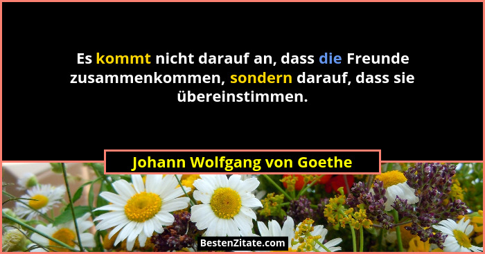 Es kommt nicht darauf an, dass die Freunde zusammenkommen, sondern darauf, dass sie übereinstimmen.... - Johann Wolfgang von Goethe