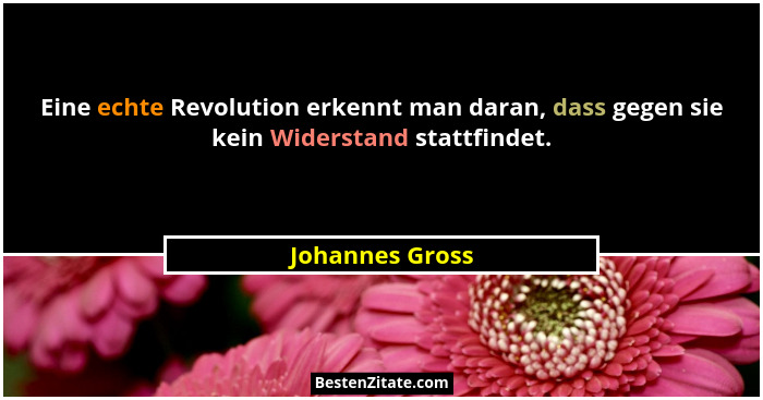 Eine echte Revolution erkennt man daran, dass gegen sie kein Widerstand stattfindet.... - Johannes Gross