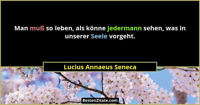 Man muß so leben, als könne jedermann sehen, was in unserer Seele vorgeht.... - Lucius Annaeus Seneca