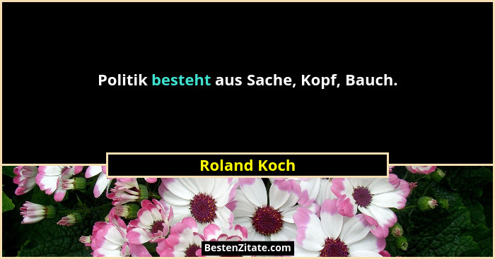Politik besteht aus Sache, Kopf, Bauch.... - Roland Koch