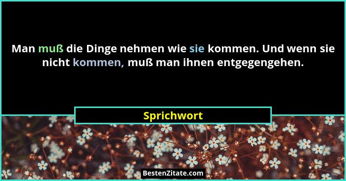 Man muß die Dinge nehmen wie sie kommen. Und wenn sie nicht kommen, muß man ihnen entgegengehen.... - Sprichwort