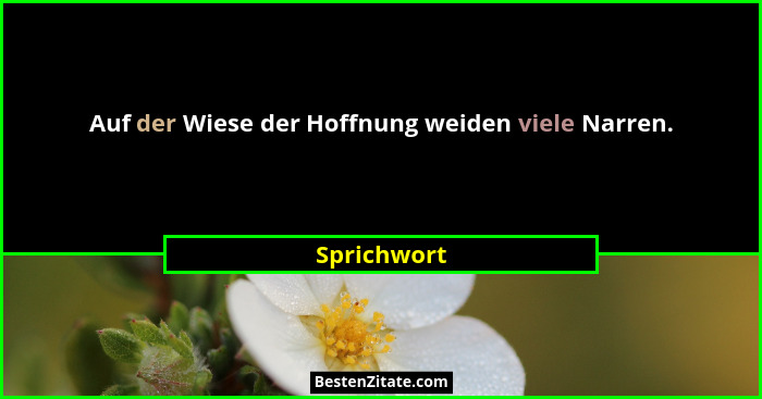 Auf der Wiese der Hoffnung weiden viele Narren.... - Sprichwort