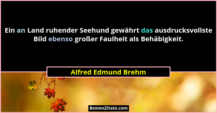 Ein an Land ruhender Seehund gewährt das ausdrucksvollste Bild ebenso großer Faulheit als Behäbigkeit.... - Alfred Edmund Brehm