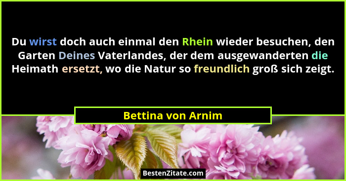 Du wirst doch auch einmal den Rhein wieder besuchen, den Garten Deines Vaterlandes, der dem ausgewanderten die Heimath ersetzt, wo... - Bettina von Arnim