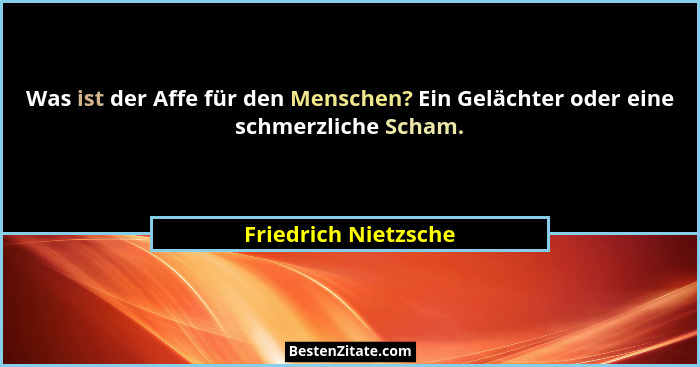 Was ist der Affe für den Menschen? Ein Gelächter oder eine schmerzliche Scham.... - Friedrich Nietzsche