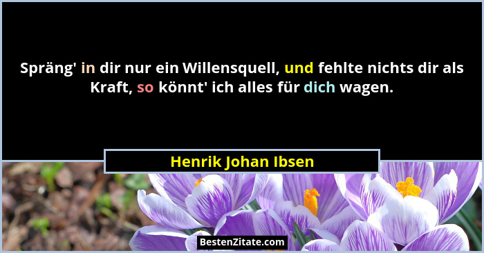Spräng' in dir nur ein Willensquell, und fehlte nichts dir als Kraft, so könnt' ich alles für dich wagen.... - Henrik Johan Ibsen
