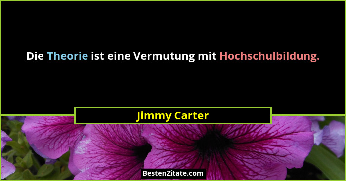 Die Theorie ist eine Vermutung mit Hochschulbildung.... - Jimmy Carter