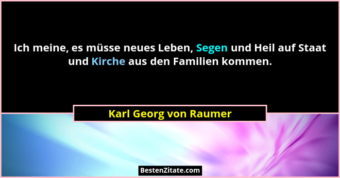 Ich meine, es müsse neues Leben, Segen und Heil auf Staat und Kirche aus den Familien kommen.... - Karl Georg von Raumer